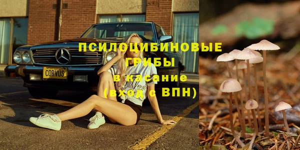 МДМА Алексеевка