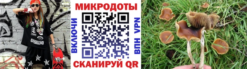 Псилоцибиновые грибы Psilocybe  Похвистнево 